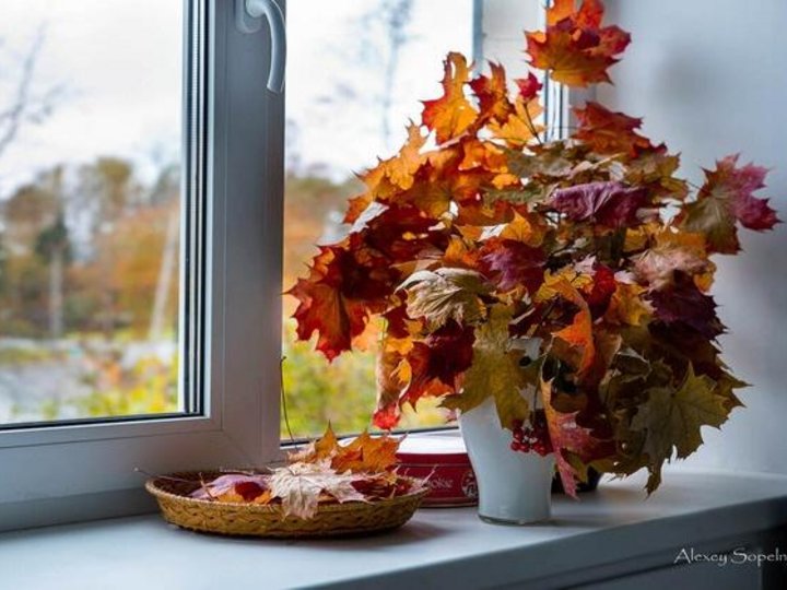 частушки на золотую осень. картинки наступил сентябрь засентябрило за окном. засентябрило за окном. засентябрило фото. песню засентябрило за окном.