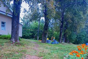 «Коррупции нет! ЖИВИ ЧЕСТНО! »