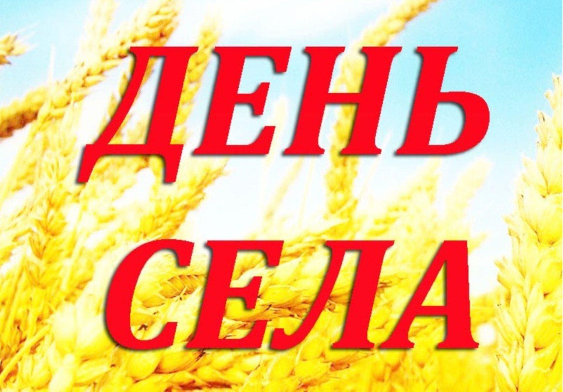 концертная программа «Живи, село!»