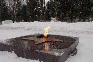 Лекция «Оборона Донского в ноябре 1941 года»