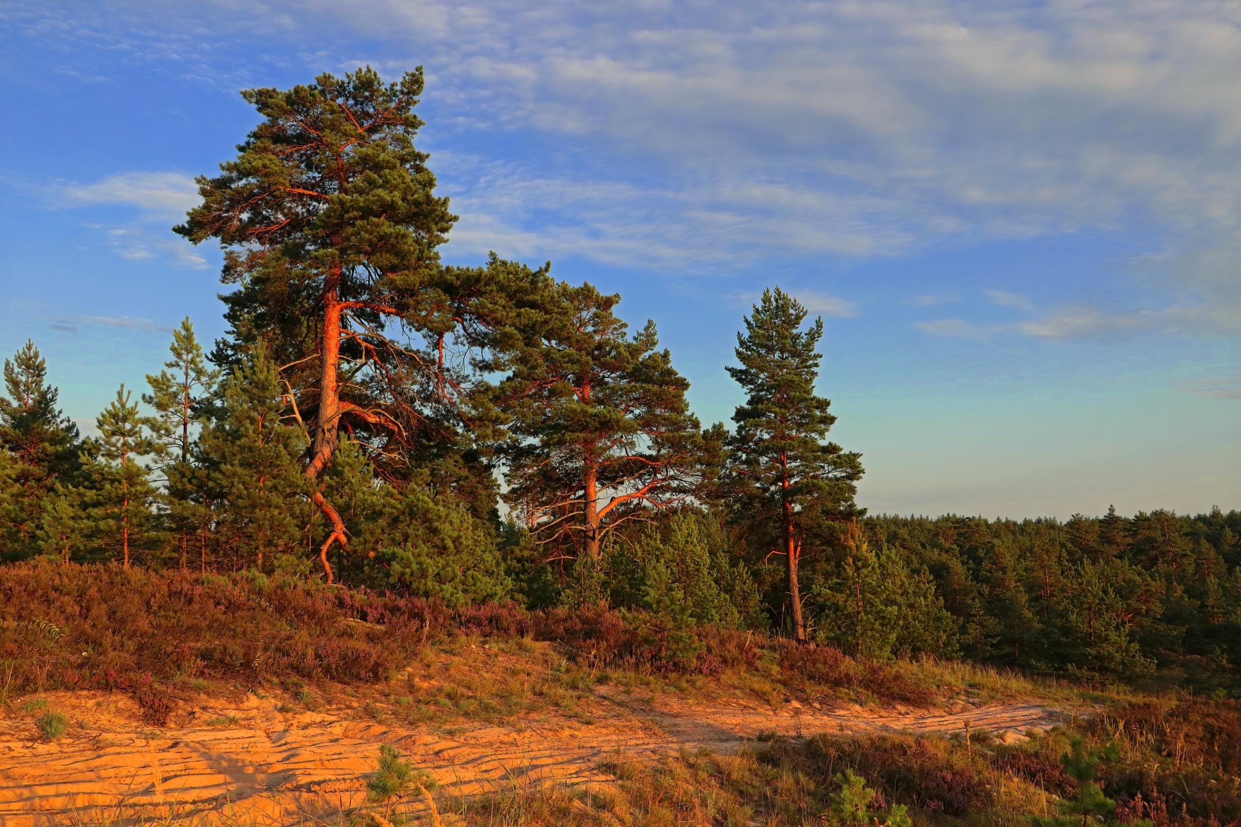 Фотовыставка «Лирика родного пейзажа»