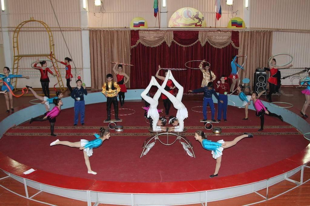 Цирковое представление «Мы дружбой едины»