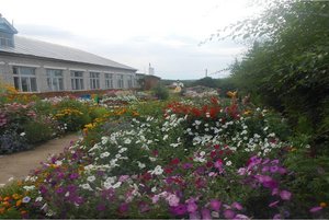 Парад талантов