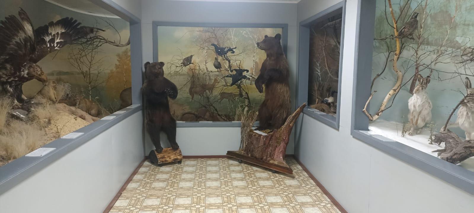 Выставка «Природа Хайбуллинского района»