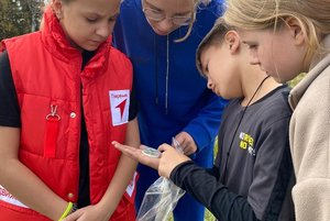 Программа «Что из этого?»