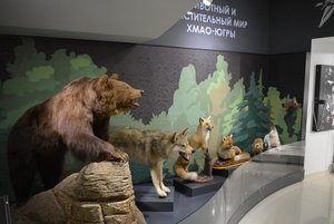 Игра «Лесными тропами»