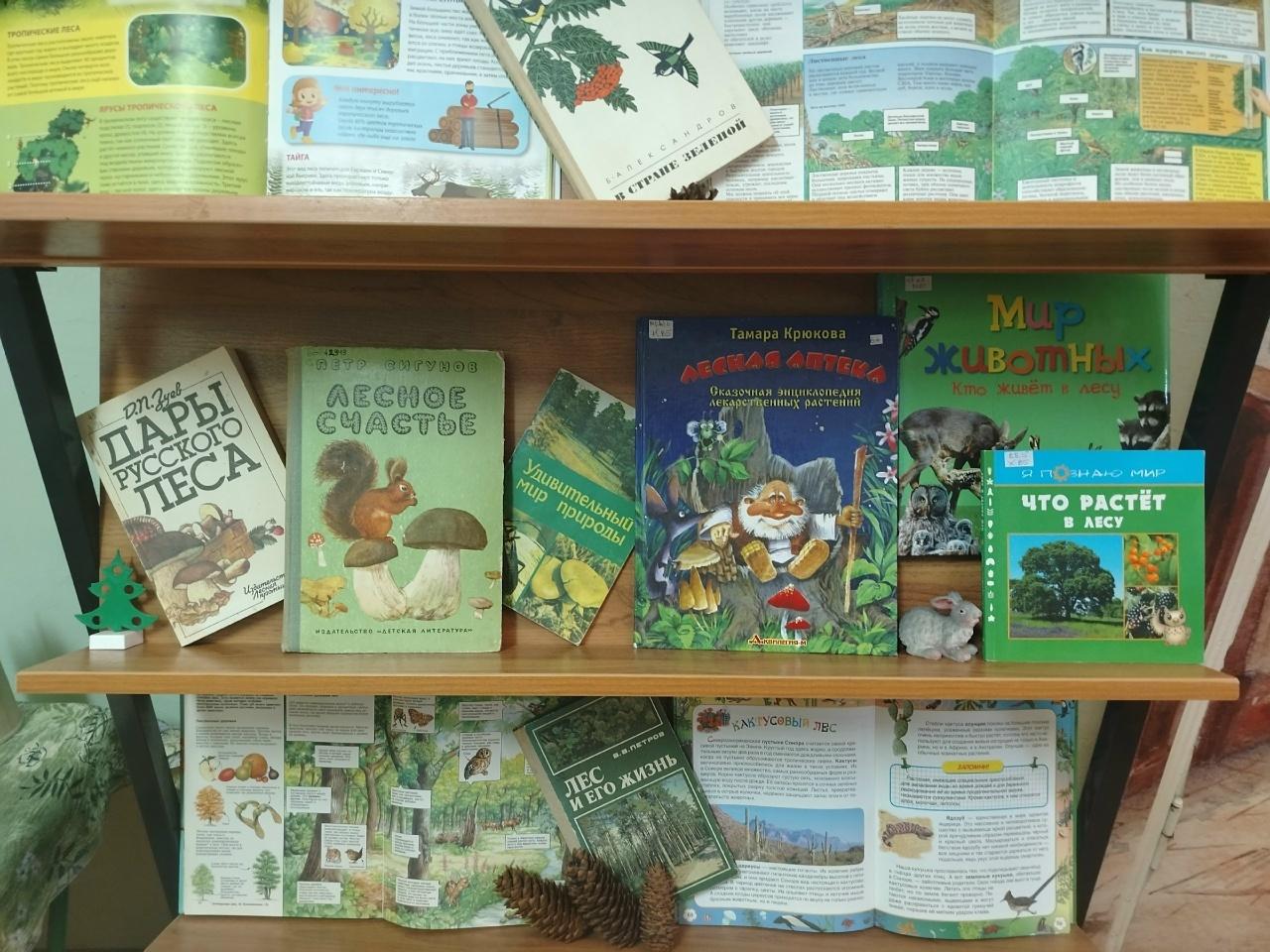 «Подсмотрено у природы»