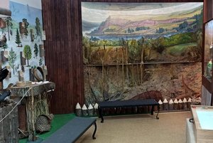 Выставка «Природа севера Удмуртии»