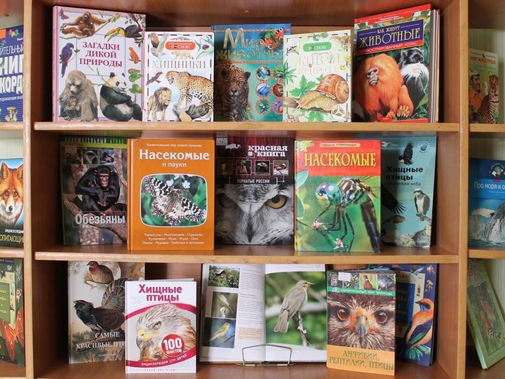 «Мои любимые книги о животных»