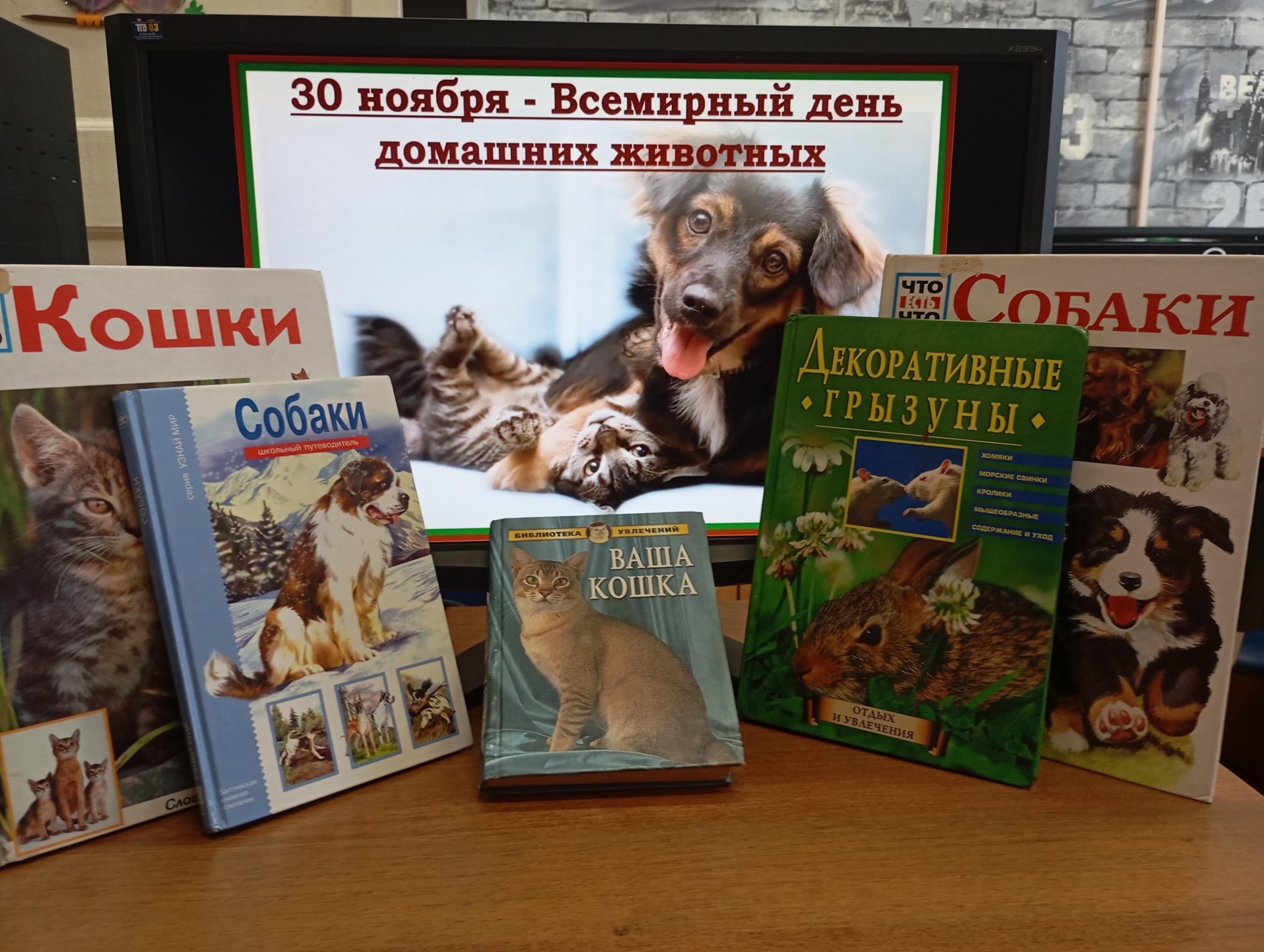 Разговоры о пушистых «Без собаки и кота жизнь, друзья мои, не та!»