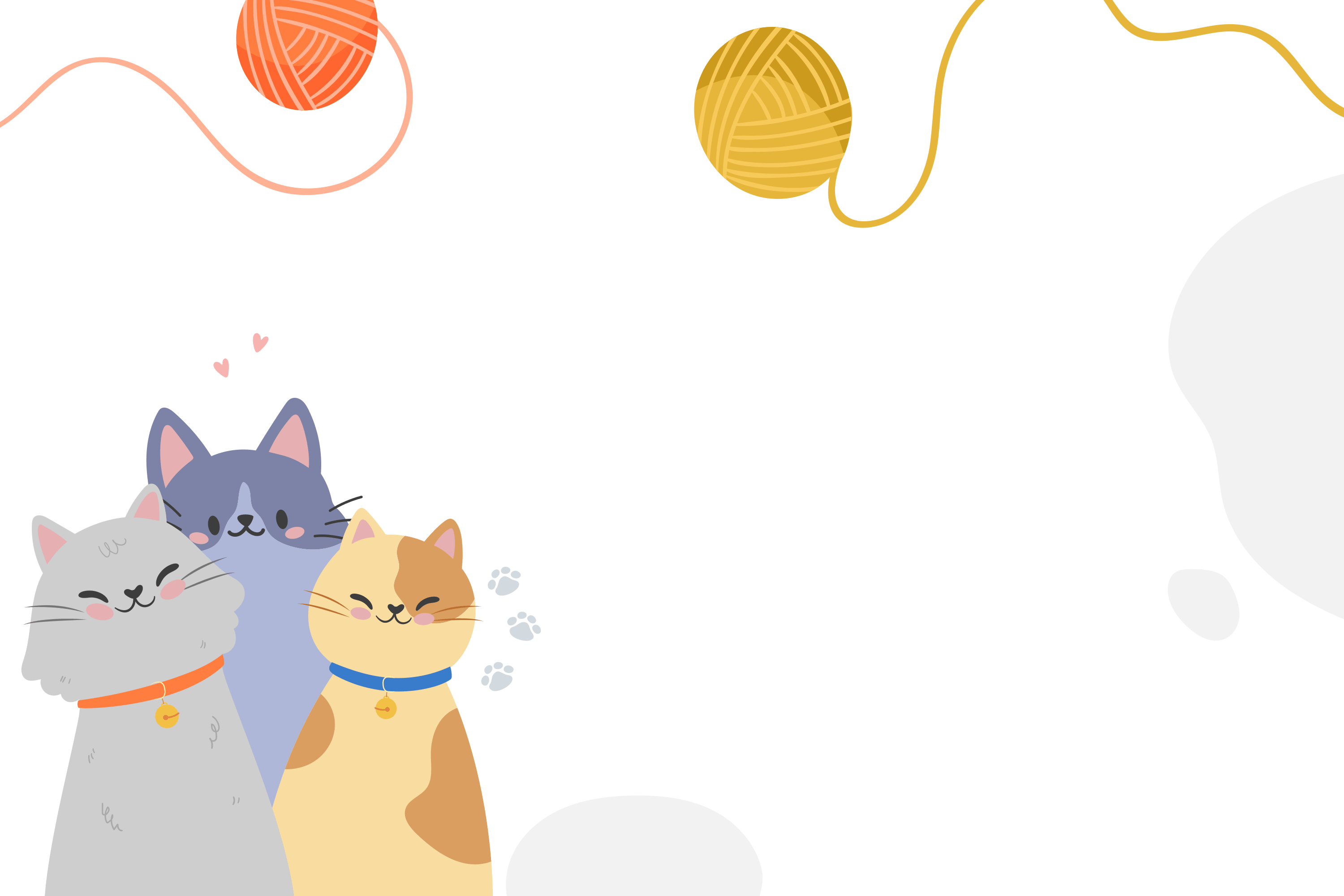 Международный день кошек
