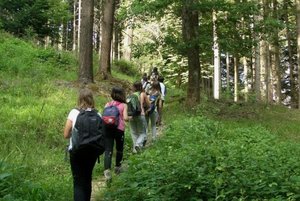 Квест «Ориентир плюс»