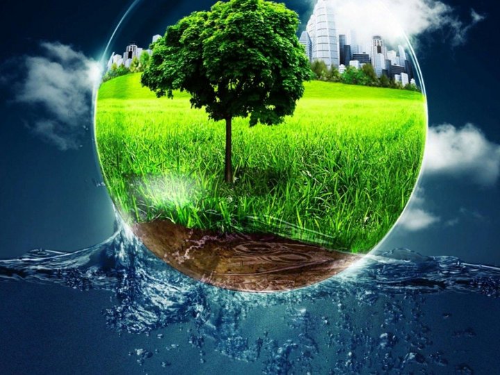 Экологический репортаж «Землянам – чистую планету»