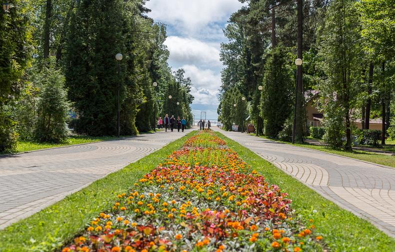 Зеленогорск санкт петербург парк. Зеленогорск Ленинградская область парк. Городской парк Зеленогорск. Зеленогорск парк культуры и отдыха. Парк культуры в Зеленогорске СПБ.