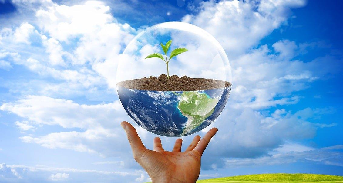 Беседа «Наша зелёная планета»