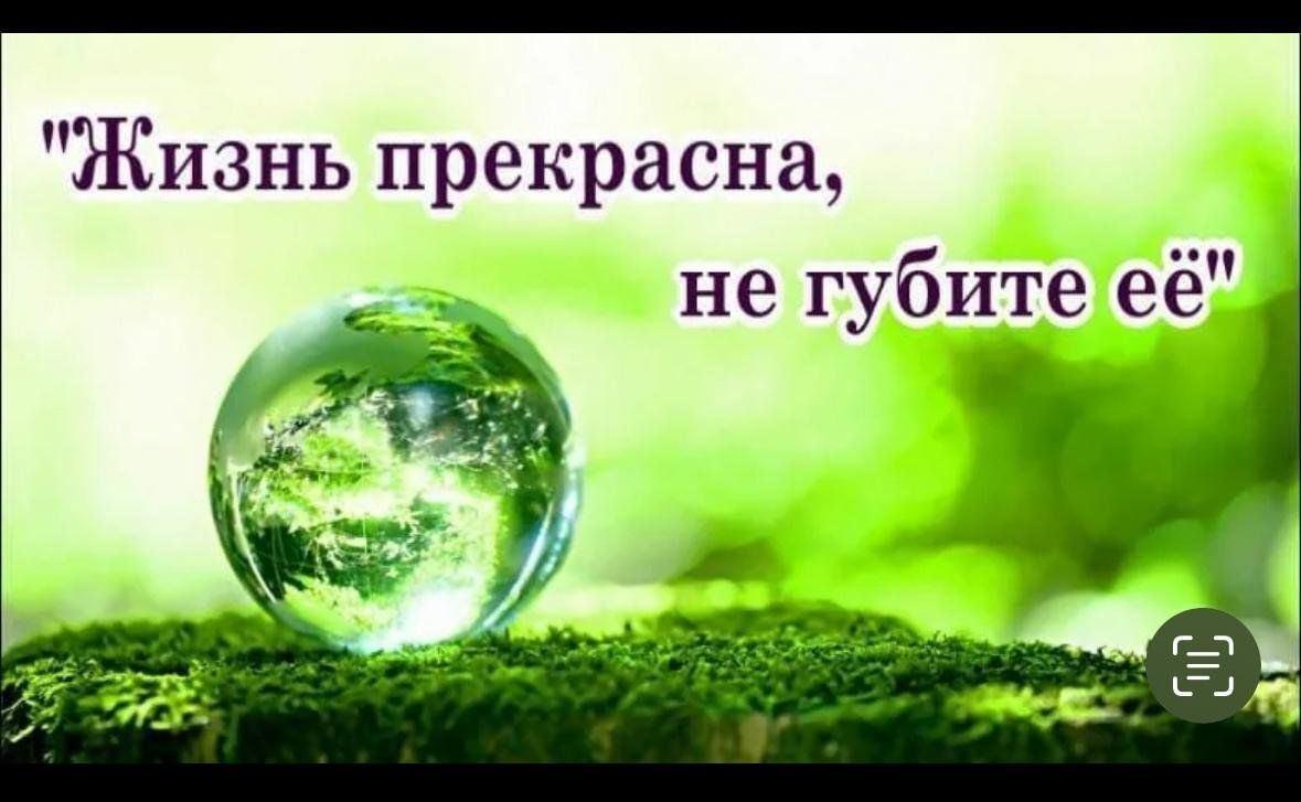 «Жизнь прекрасна, не губи ее напрасно»