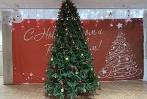 Программа «Новогодний каламбур»