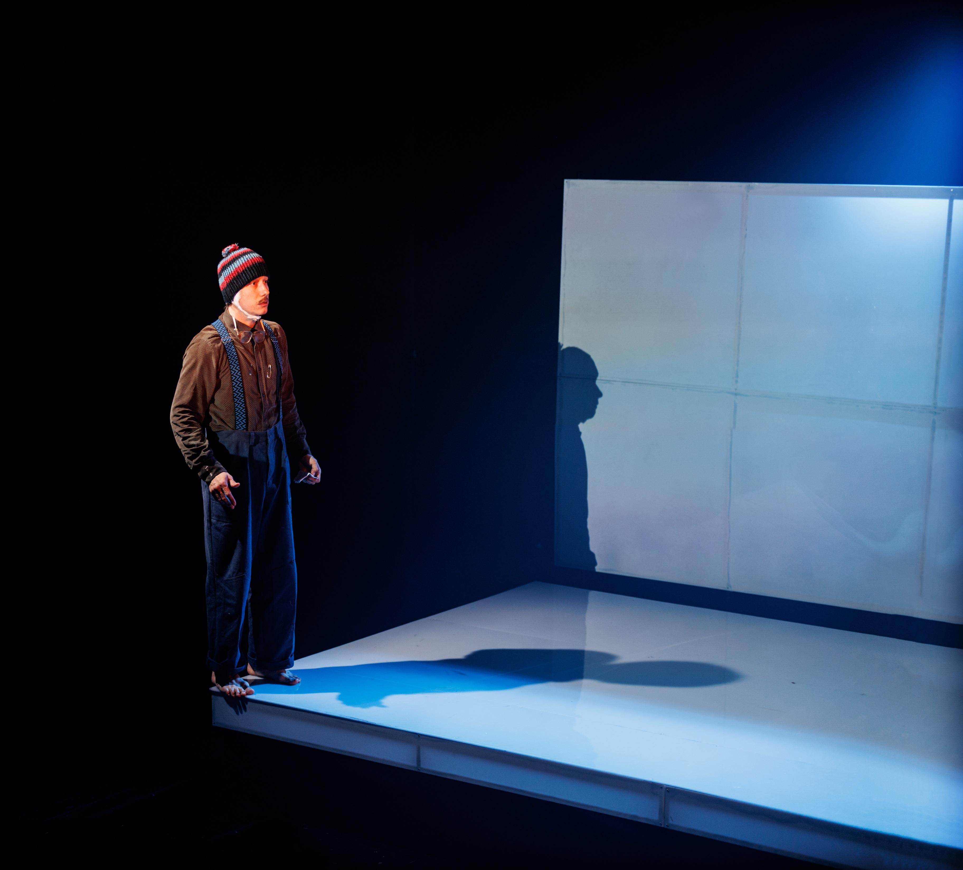 Спектакль «Школа для дураков»