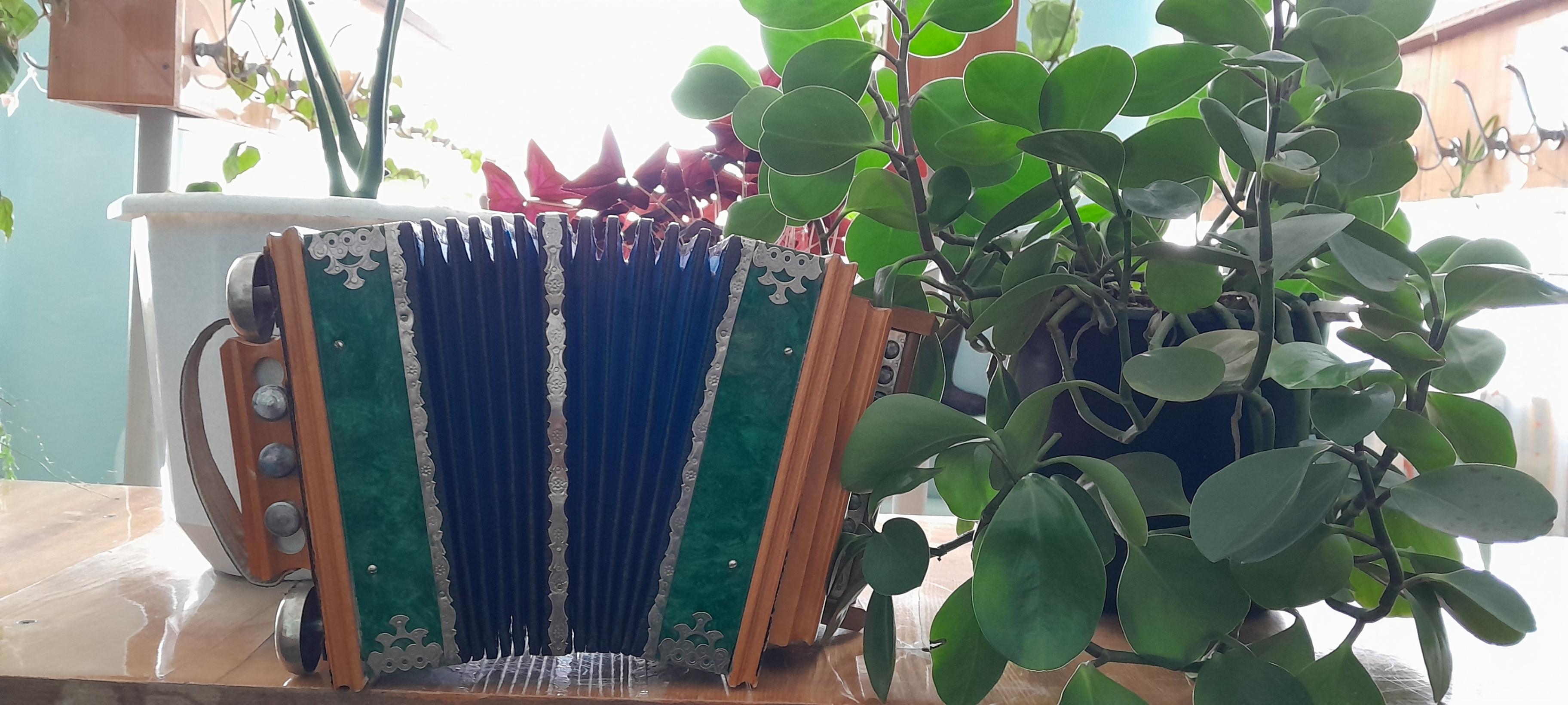 Познавательная программа «Народные инструменты – тальянка»