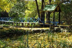 Выставка «Музей природы «Мухина балка»