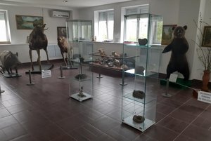 Выставка «Животный мир Прикамья»