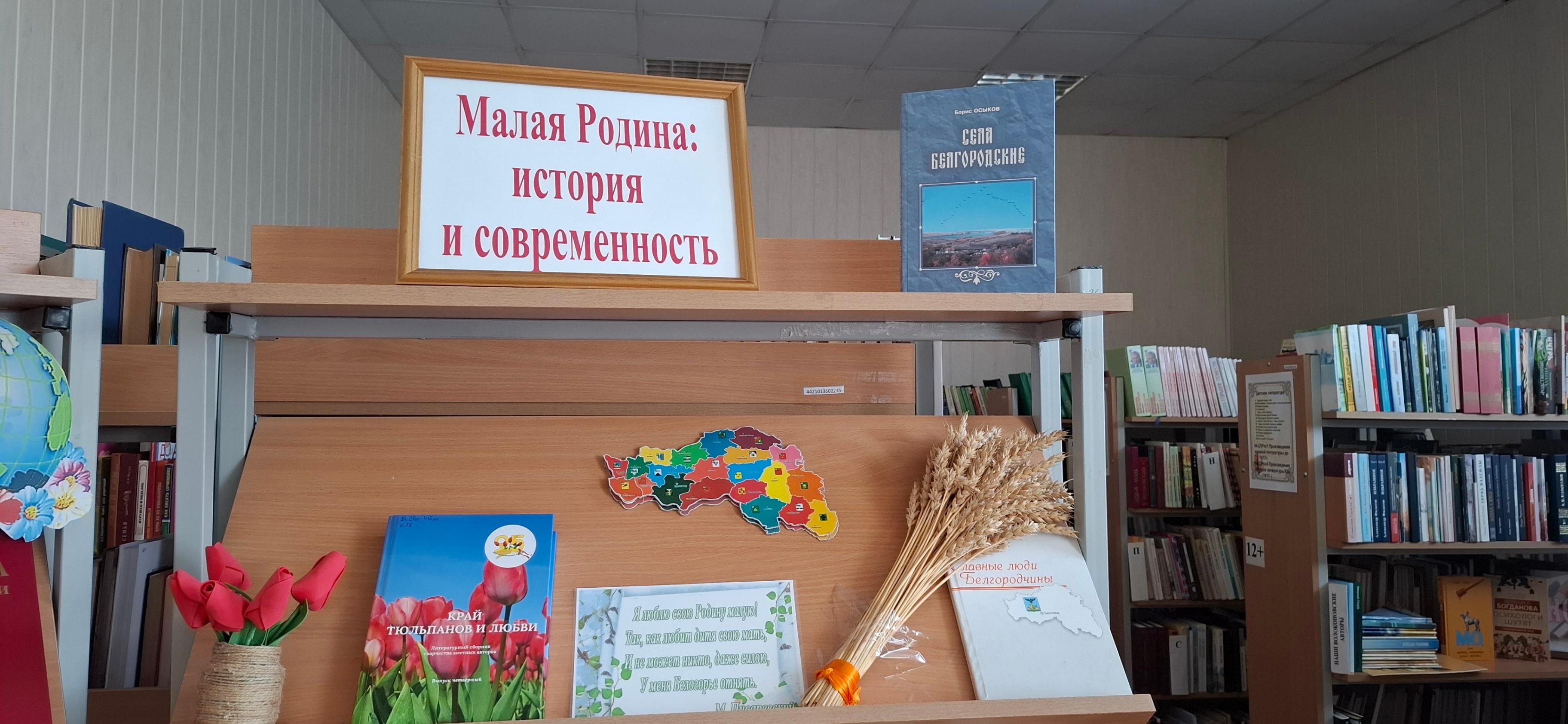 Книжно-иллюстрированная выставка «Все о тебе, любимый край»