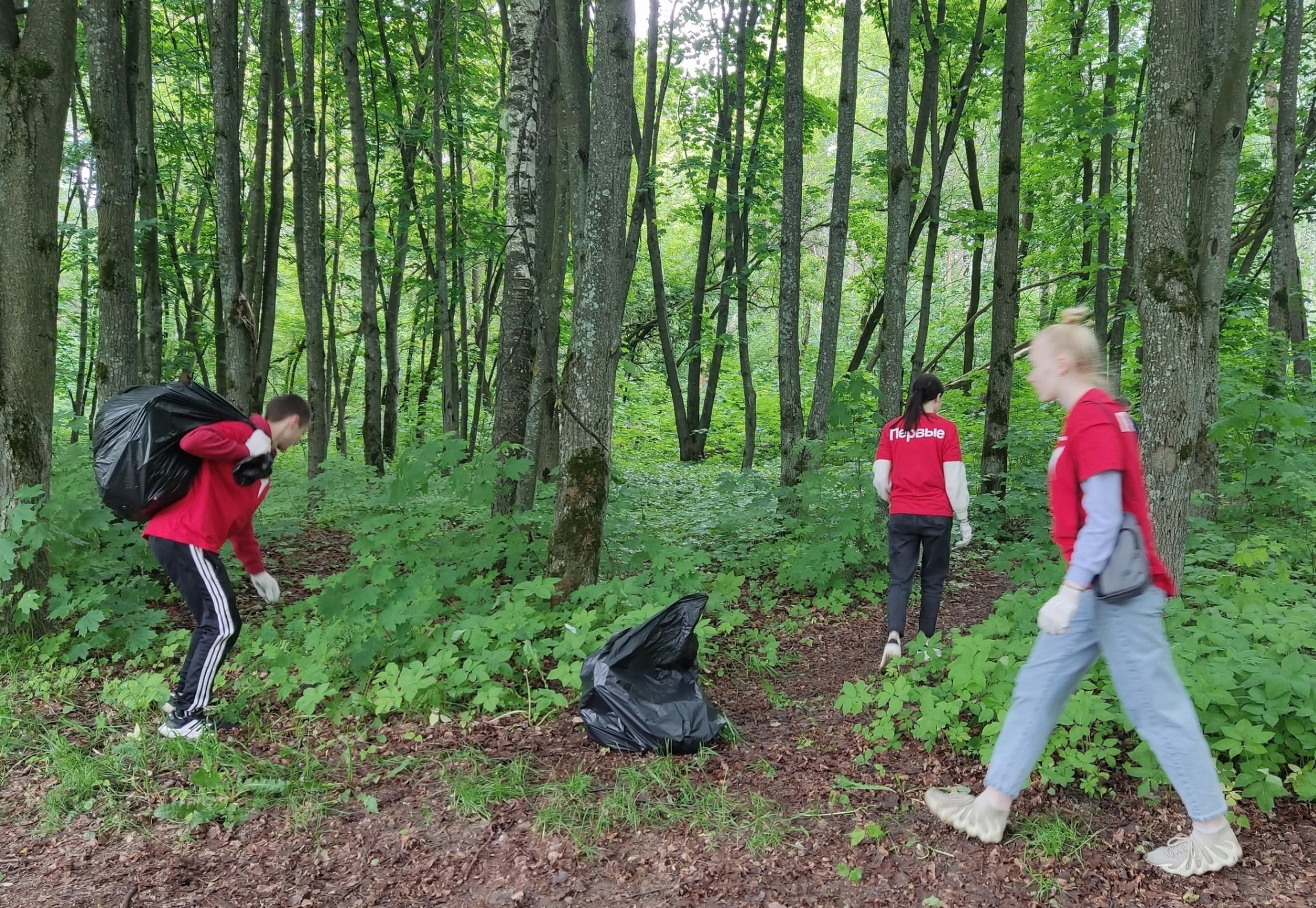 «Куда ведут тропинки»эстафета экологическая