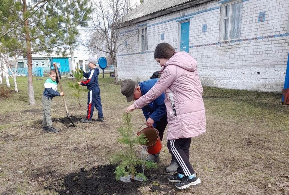Акция «Посади дерево»