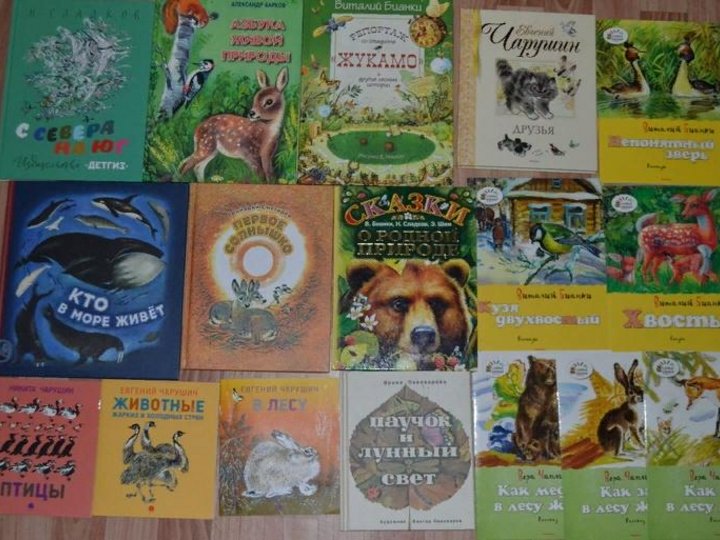 «Животные в детских книжках.»