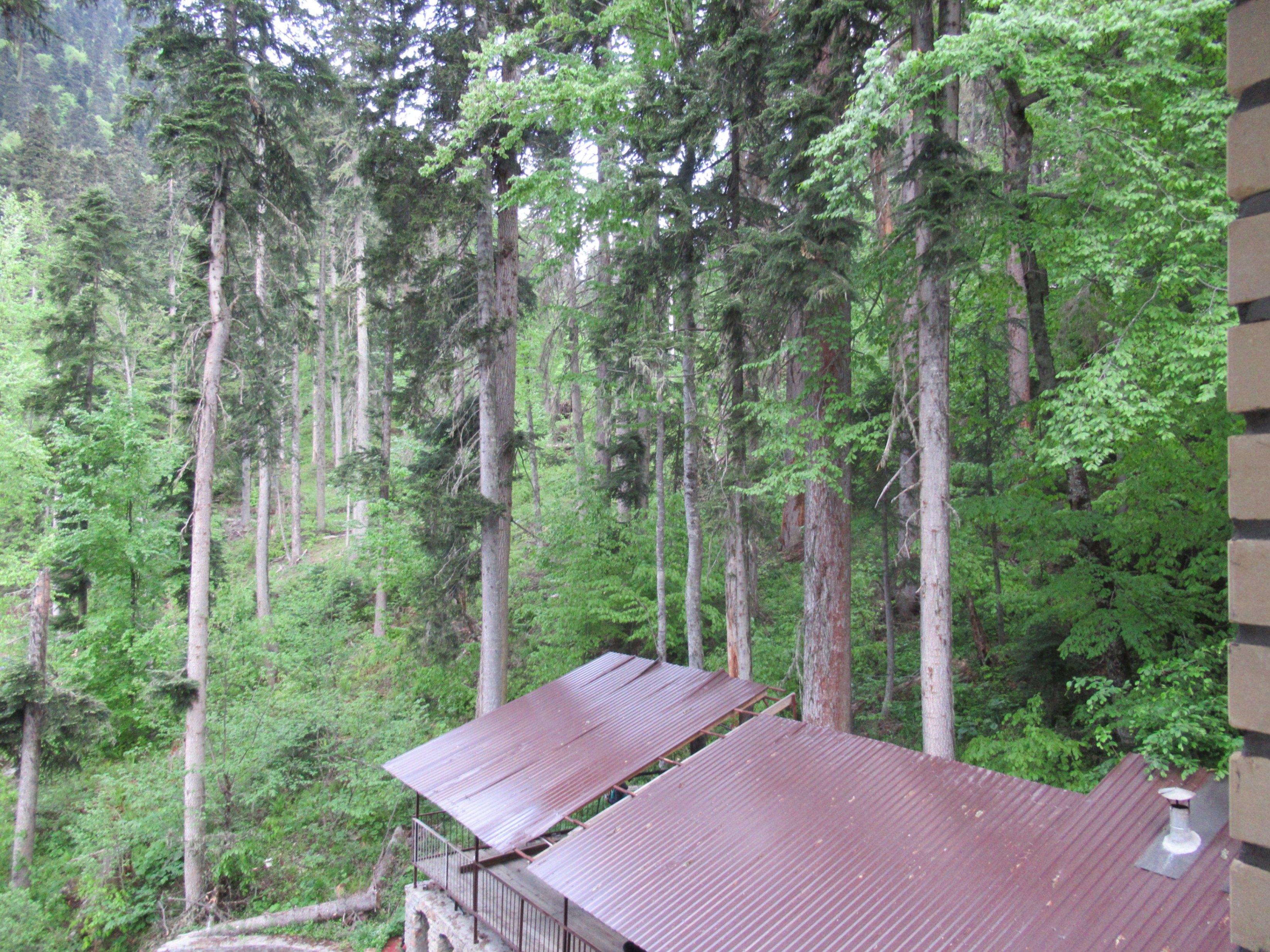 Познавательный час «Береги свою планету»