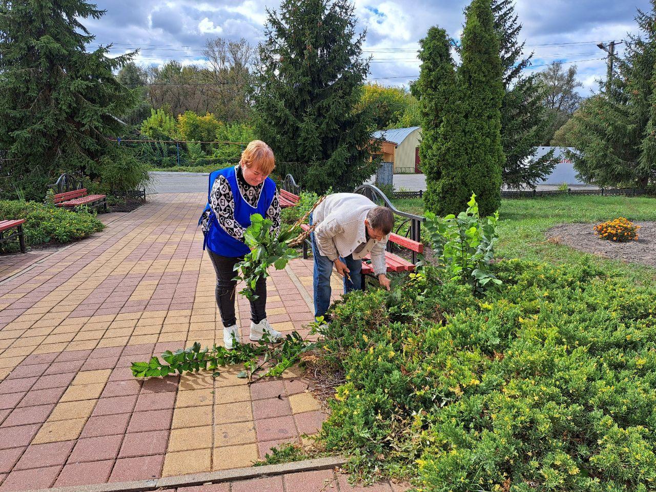 Экологический акция «Зелёный патруль»