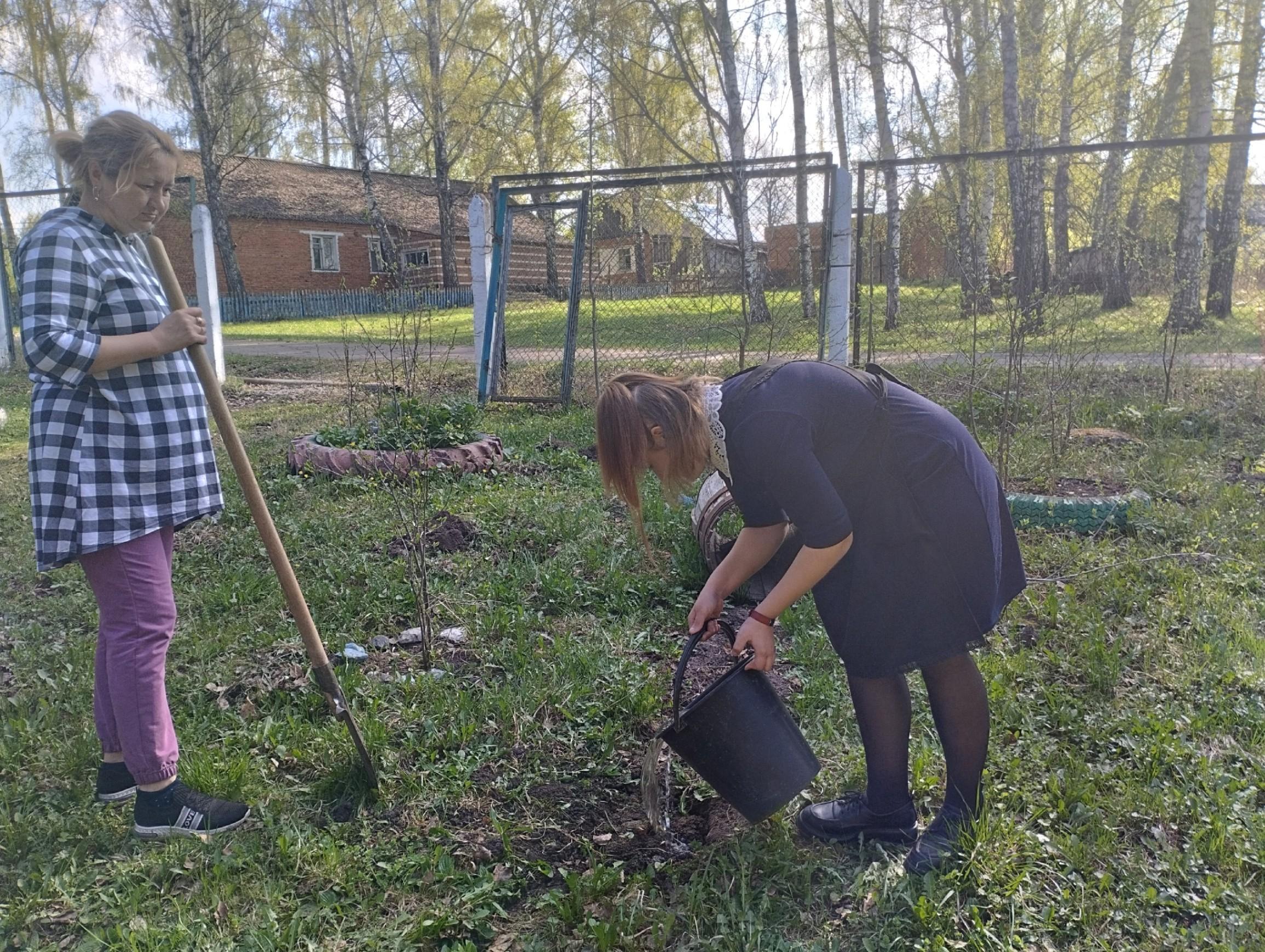 Акция– «Сад памяти»