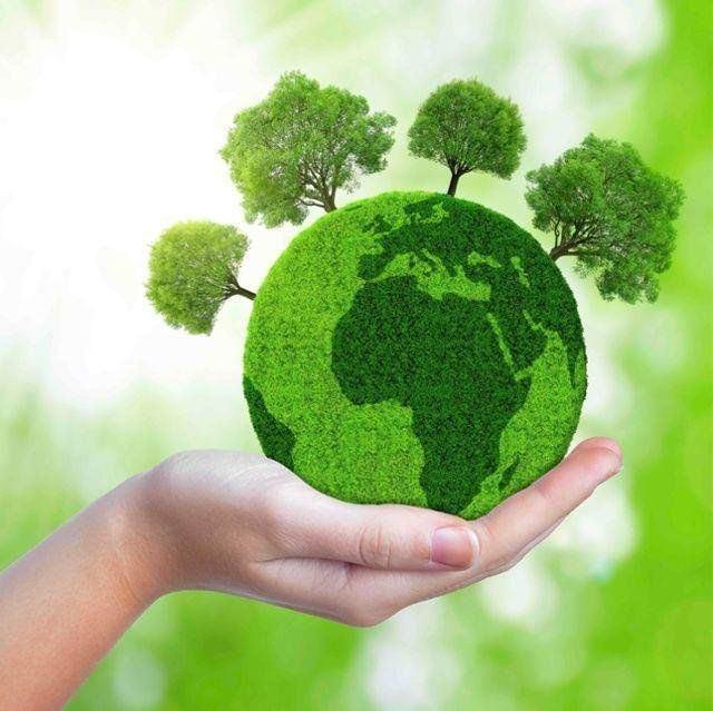 Тематическая арт–встреча «Наша зеленая планета»