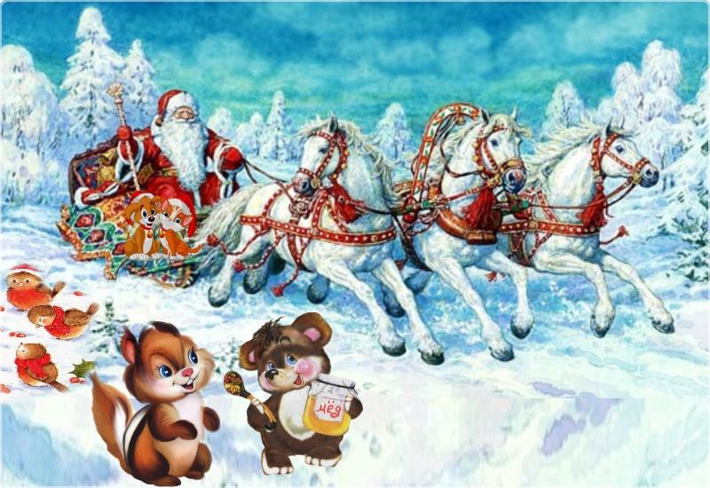 Программа «Откуда пришел Новый год»