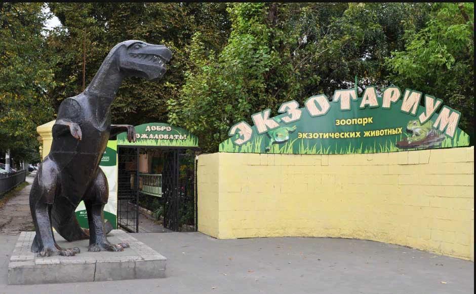 Тульский областной экзотариум. Старая экспозиция