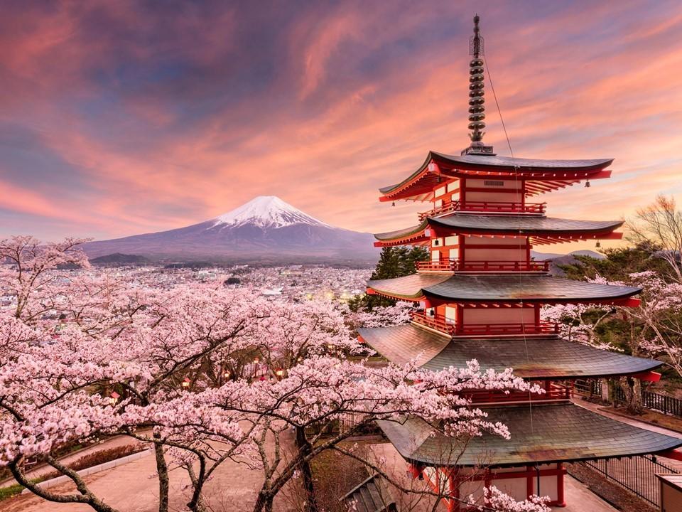 Программа «Удивительный мир японской культуры»