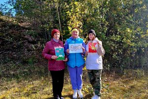 Квест «Наша Вологодчина»