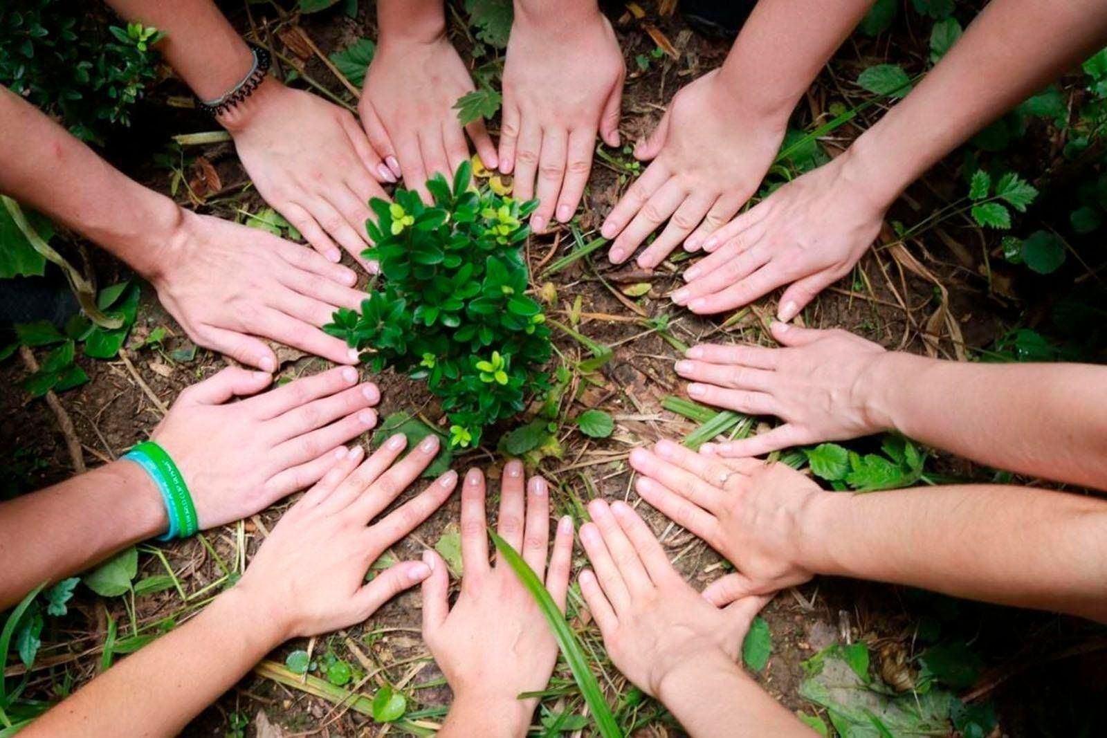 Экологическая акция «Спасти и сохранить»
