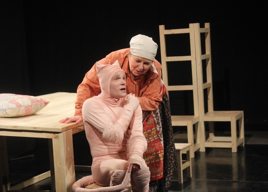 Спектакль «Гадкий котенок»