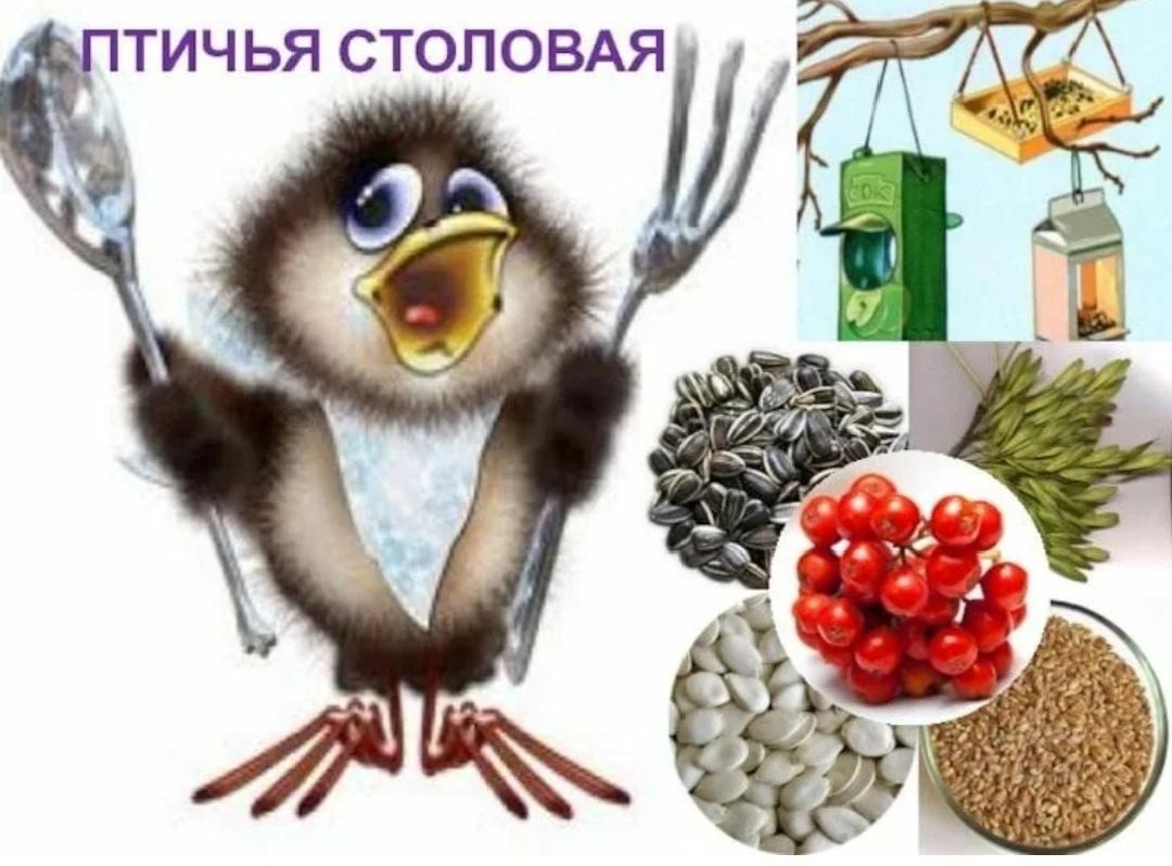 Познавательно-практическое занятие «Птичья столовая»