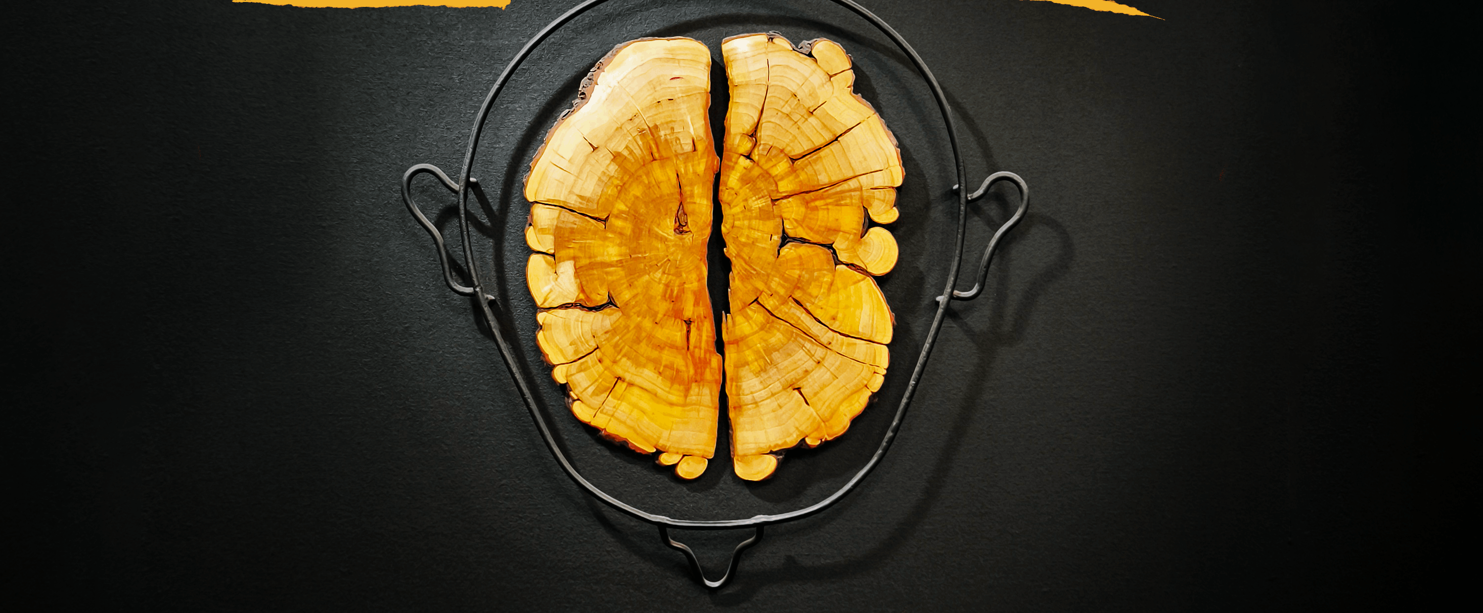 Выставка «Мнение. Влияние. Выбор»