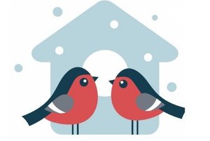 Акция «Покормите птиц зимой»