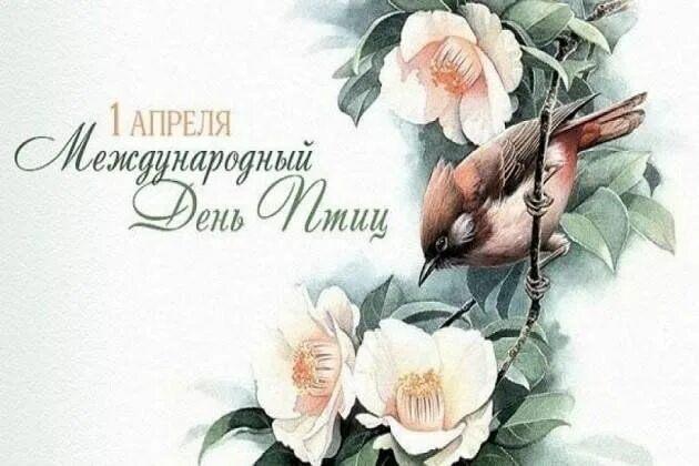 Международный день птиц