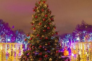 Игровая программа «Елки-иголки»