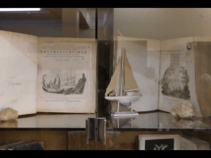 «Услада для глаз и для ума»: книжное путешествие по морям и океанам