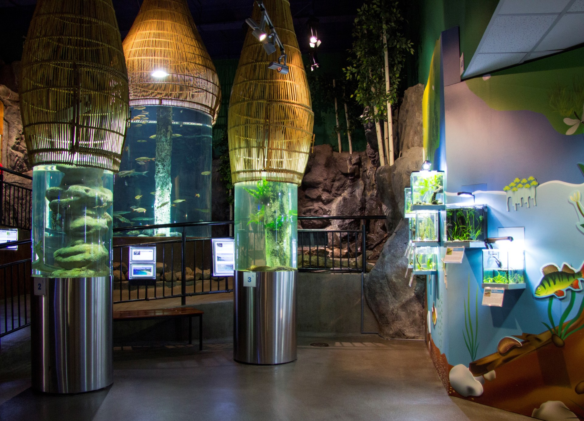 Санкт-Петербургский океанариум