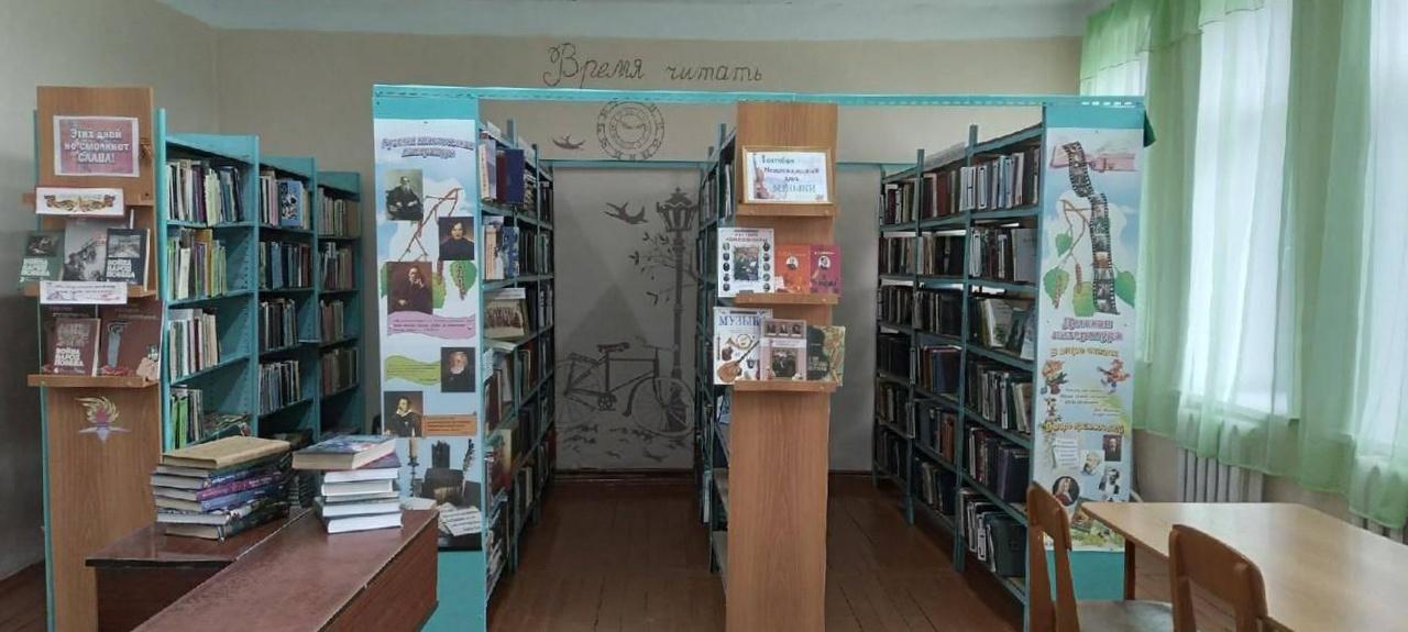 Большеинская поселенческая библиотека