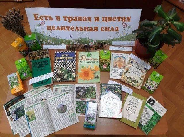 Час полезного совета «Тайны целебных трав»