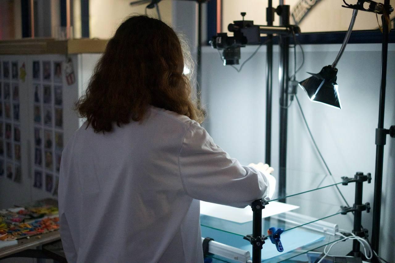 Мастер-класс «Оживляем мемы: анимация в технике перекладки»