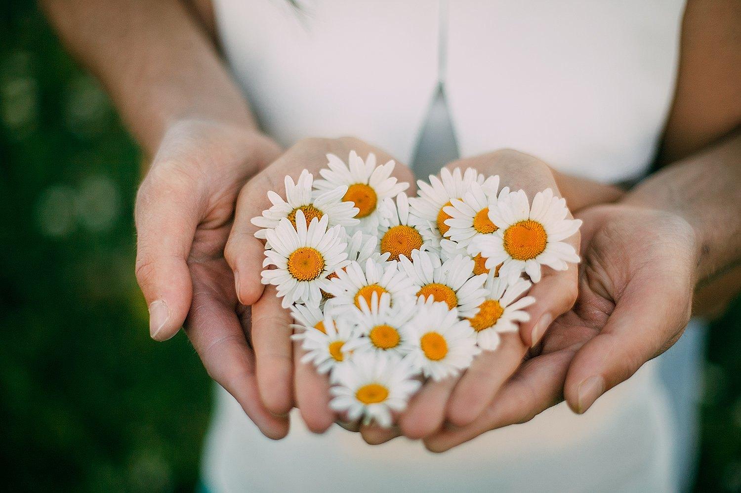 Обрядовая программа «Ромашковое поле»